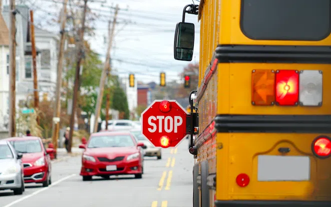 failure to stop for bus