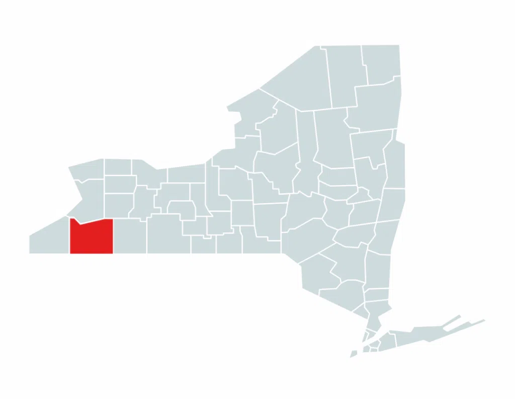 A map of New York State with Cattaraugus County highlighted in red.